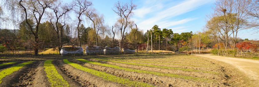 土壤污染狀況調查