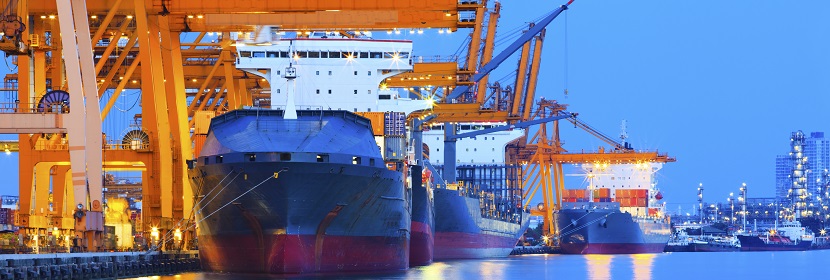 船舶設(shè)備傾斜與搖擺試驗(yàn)